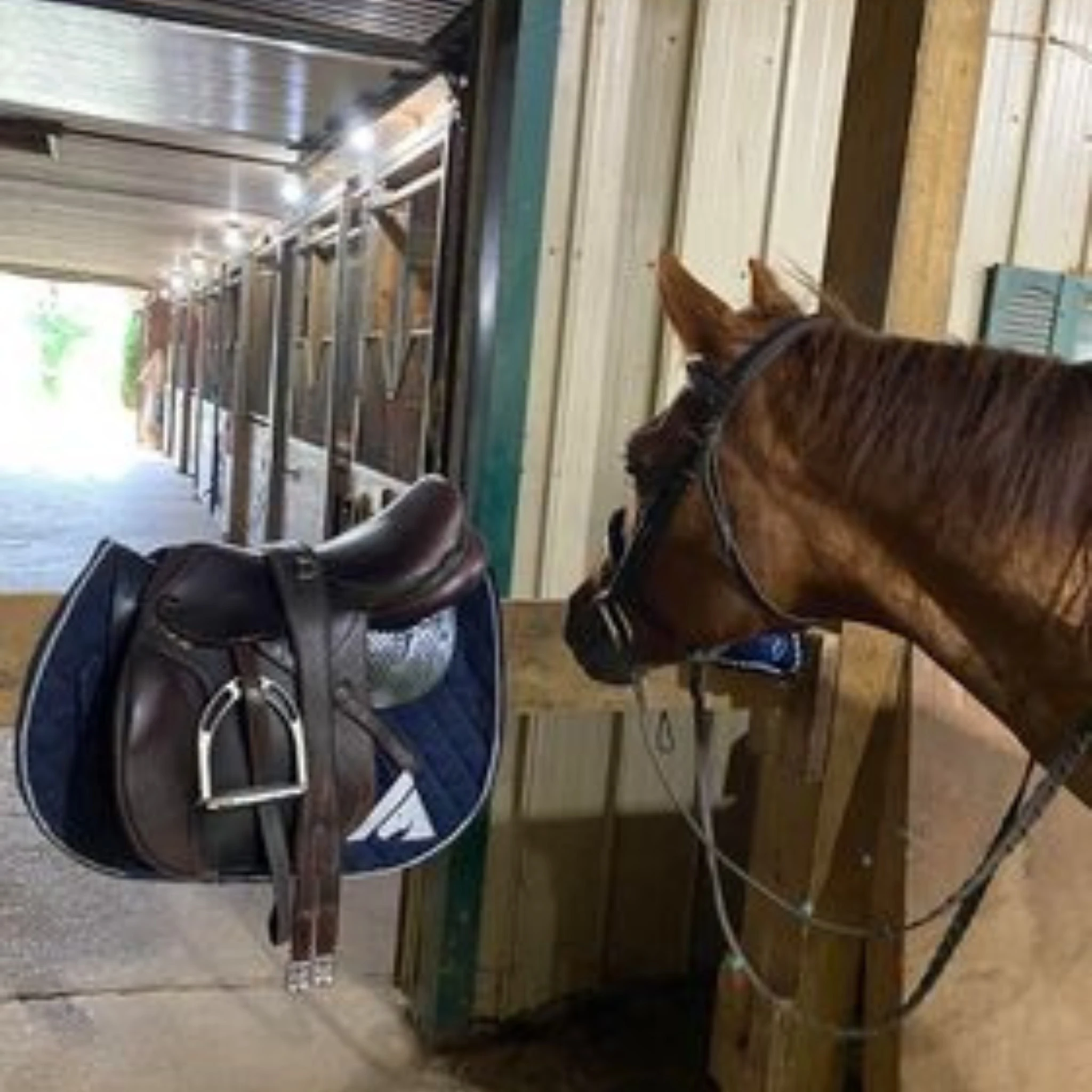 Saddle Pad For Canada Client Manufactured by Saddle Pads Manufacturer (Ally Saddlery)