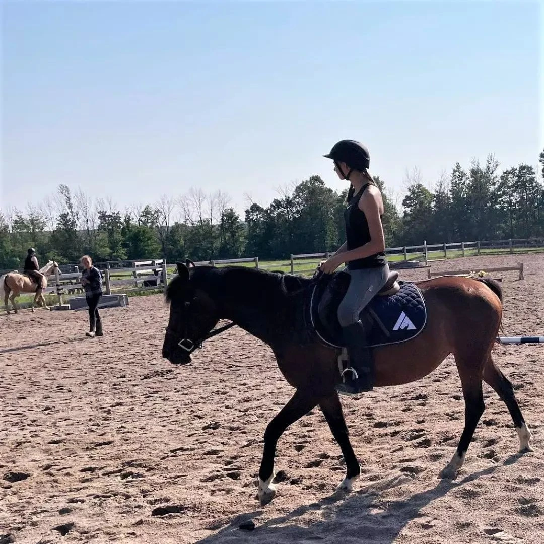 Saddle Pad For Canadian Client Manufactured by Saddle Pads Manufacturer (Ally Saddlery)