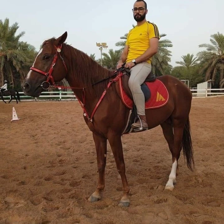 Saddle Pad For UAE Client Manufactured by Saddle Pads Manufacturer (Ally Saddlery)